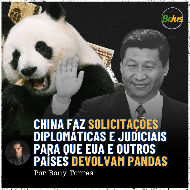 China faz solicitações diplomáticas e judiciais para que EUA e outros países devolvam pandas