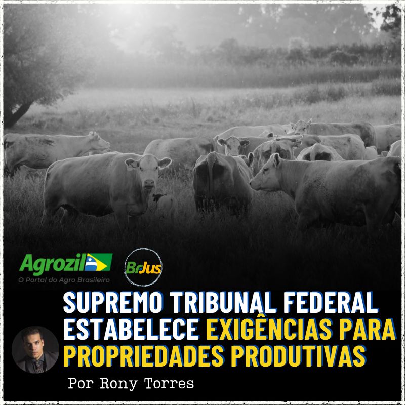 Supremo Tribunal Federal Estabelece Exigências para Propriedades Produtivas