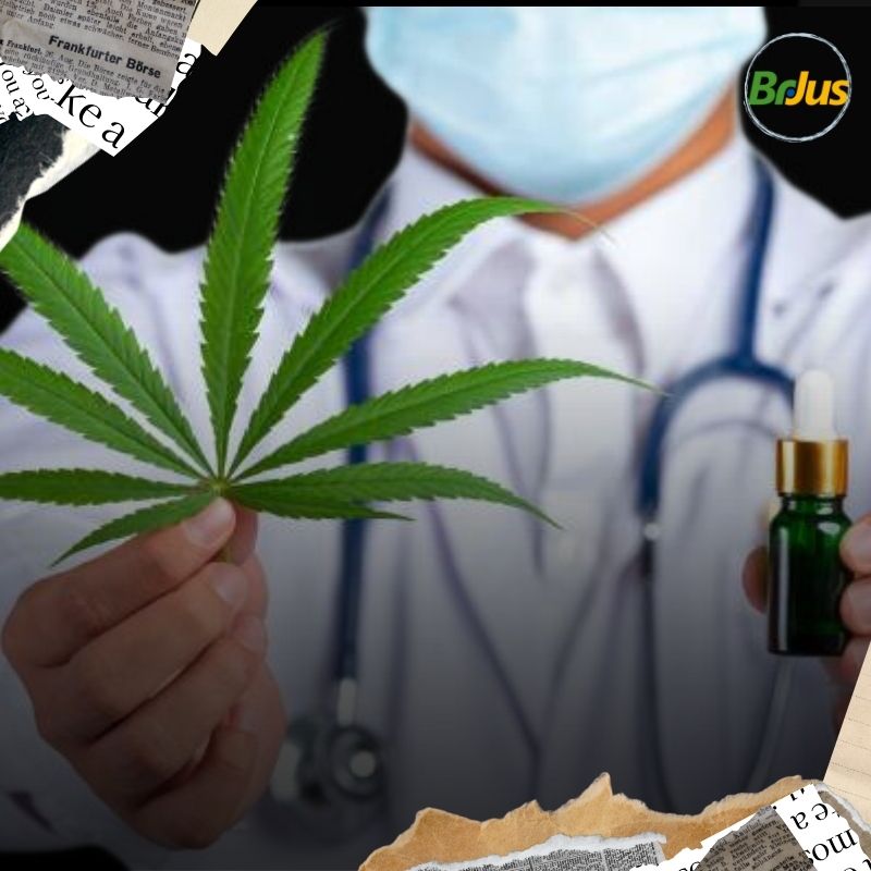 Governo de São Paulo regulamenta distribuição de medicamentos à base de cannabis no SUS 