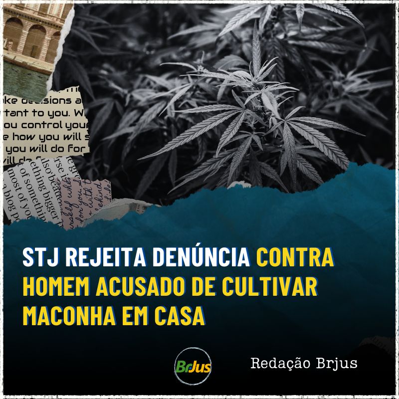 STJ REJEITA DENÚNCIA CONTRA HOMEM ACUSADO DE CULTIVAR MACONHA EM CASA 