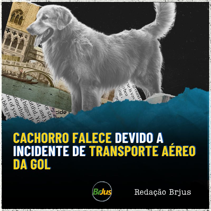 Cão falece devido a incidente de transporte aéreo da Gol; animal de estimação foi erroneamente encaminhado para o Ceará em vez de Mato Grosso