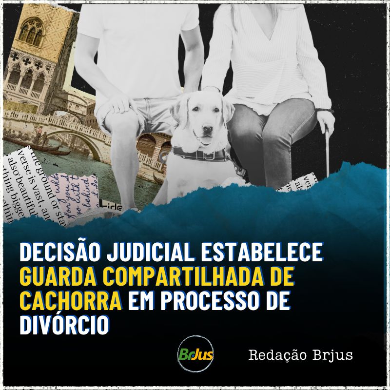 Decisão judicial estabelece guarda compartilhada de canina em processo de divórcio