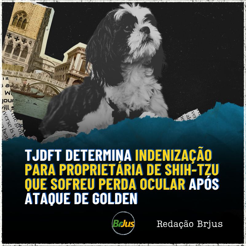 TJDFT determina indenização para proprietária de shih-tzu que sofreu perda ocular após ataque de golden