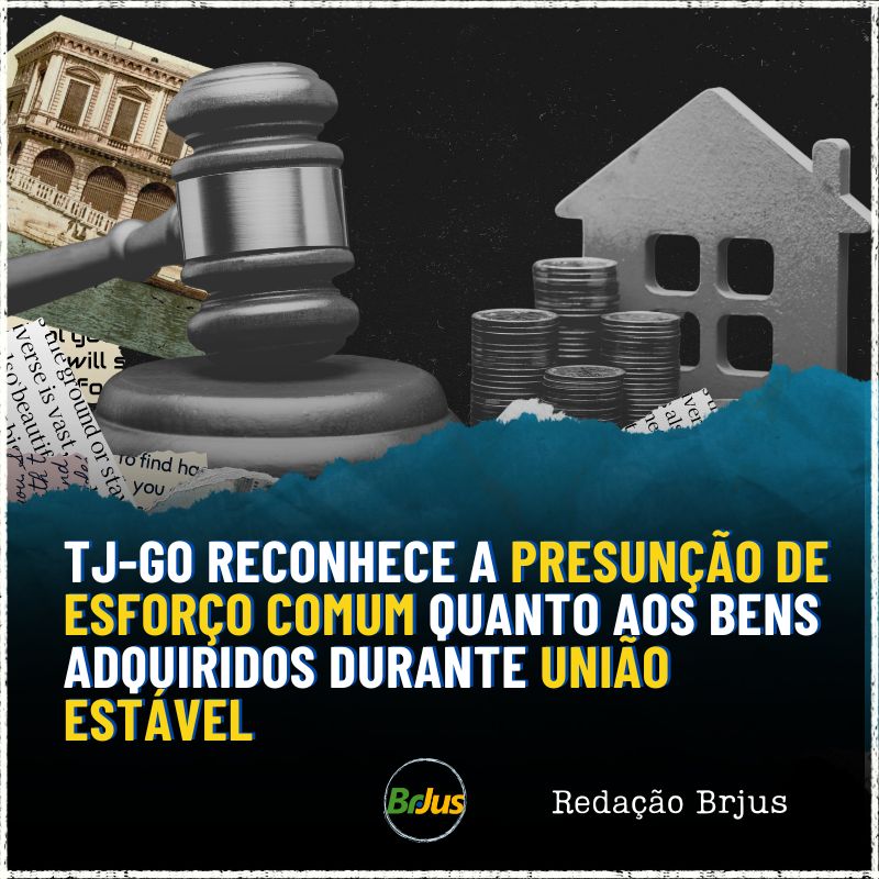 TJ-GO reconhece a presunção de esforço conjunto em união estável