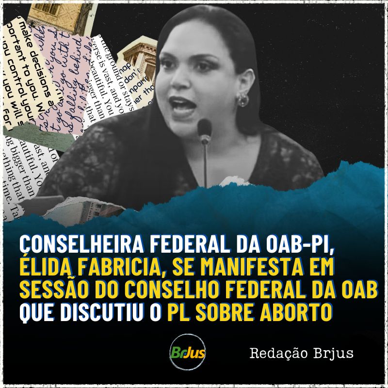 Conselheira Federal da OAB-PI, Élida Fabricia, se manifesta em sessão do Conselho Federal da OAB que discutiu o PL sobre aborto