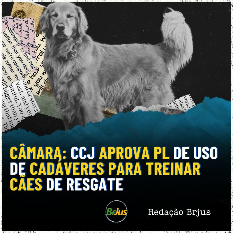 Câmara: CCJ aprova PL de uso de cadáveres para treinar cães de resgate