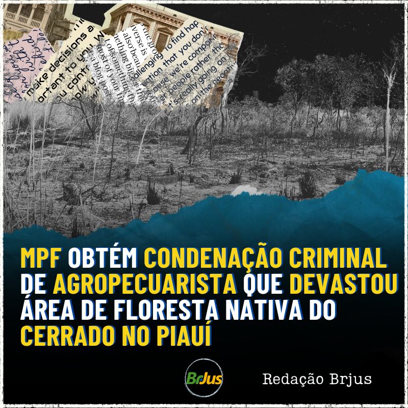 MPF OBTÉM CONDENAÇÃO CRIMINAL DE AGROPECUARISTA QUE DEVASTOU ÁREA DE FLORESTA NATIVA DO CERRADO NO PIAUÍ 