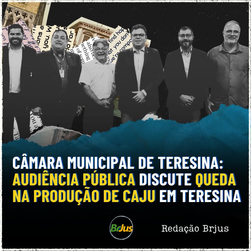 Câmara Municipal de Teresina : Audiência pública discute queda na produção de caju em Teresina