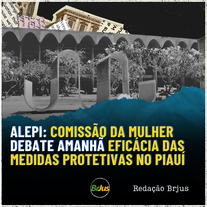 Alepi: Comissão da Mulher debate amanhã eficácia das medidas protetivas no Piauí