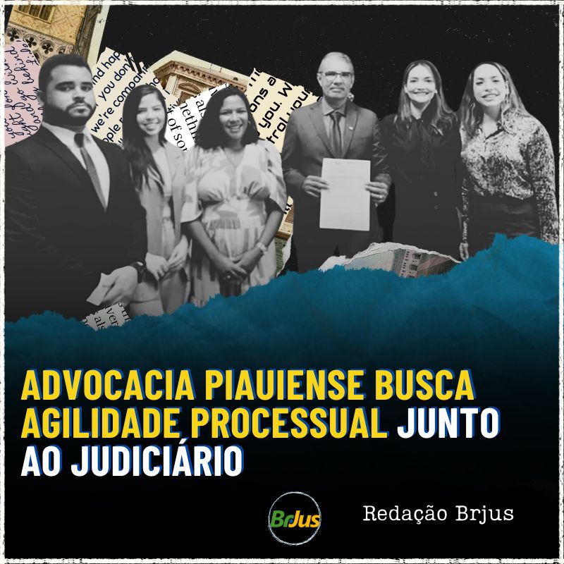 Advocacia piauiense busca agilidade processual junto ao Judiciário