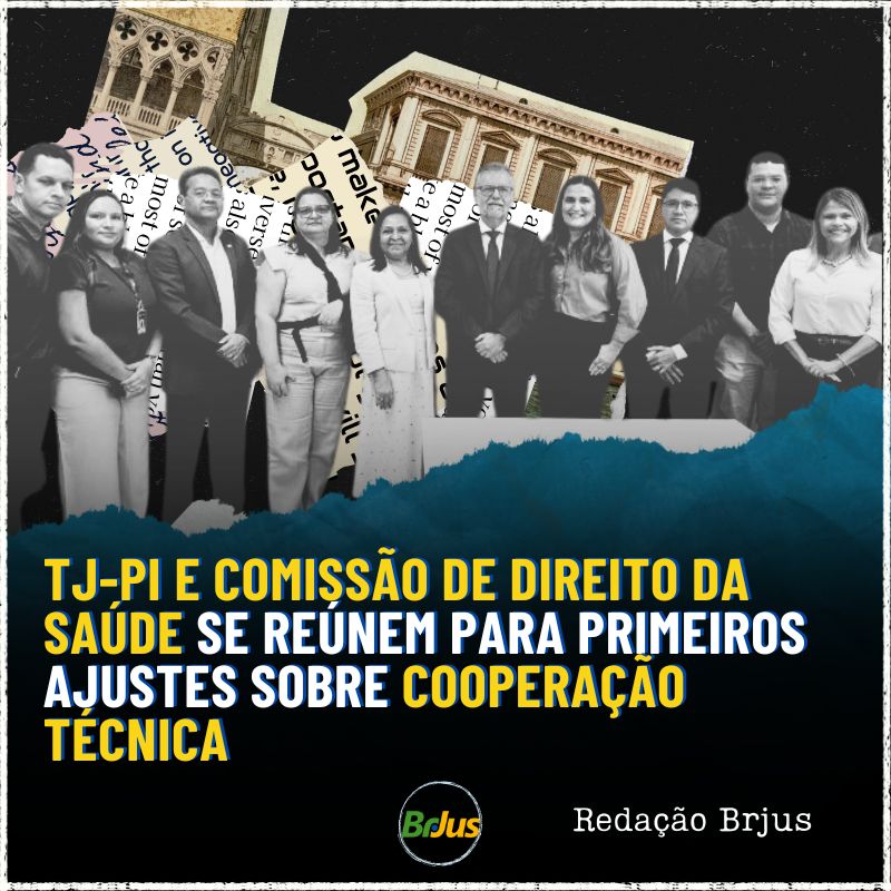 TJ-PI e Comissão de Direito da Saúde se reúnem para primeiros ajustes sobre cooperação técnica