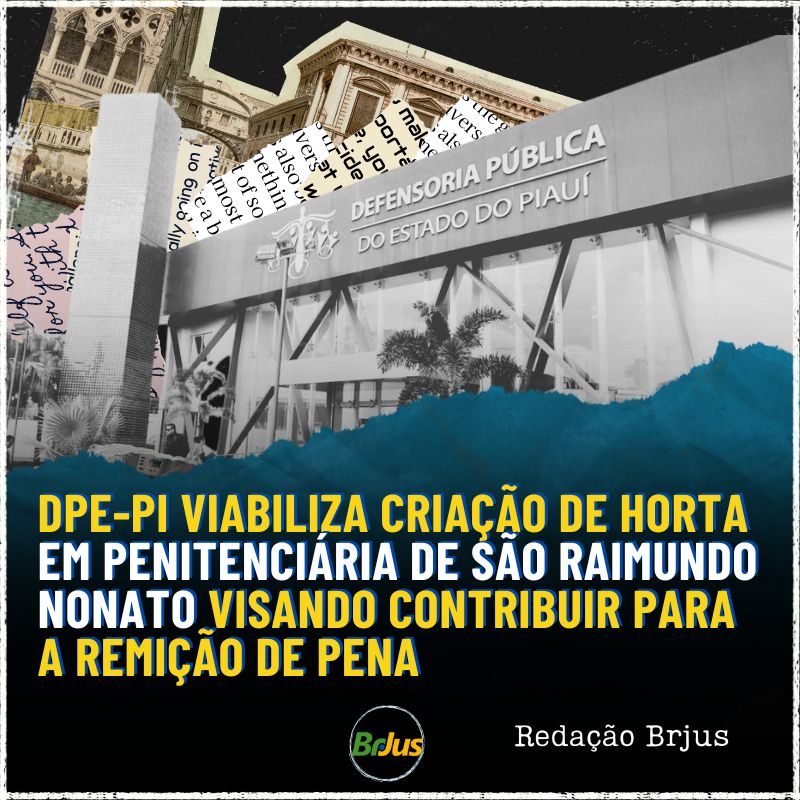 DPE-PI viabiliza criação de horta em Penitenciária de São Raimundo Nonato visando contribuir para a remição de pena