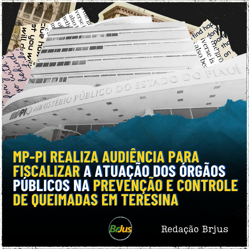 MP-PI realiza audiência para fiscalizar a atuação dos órgãos públicos na prevenção e controle de queimadas em Teresina