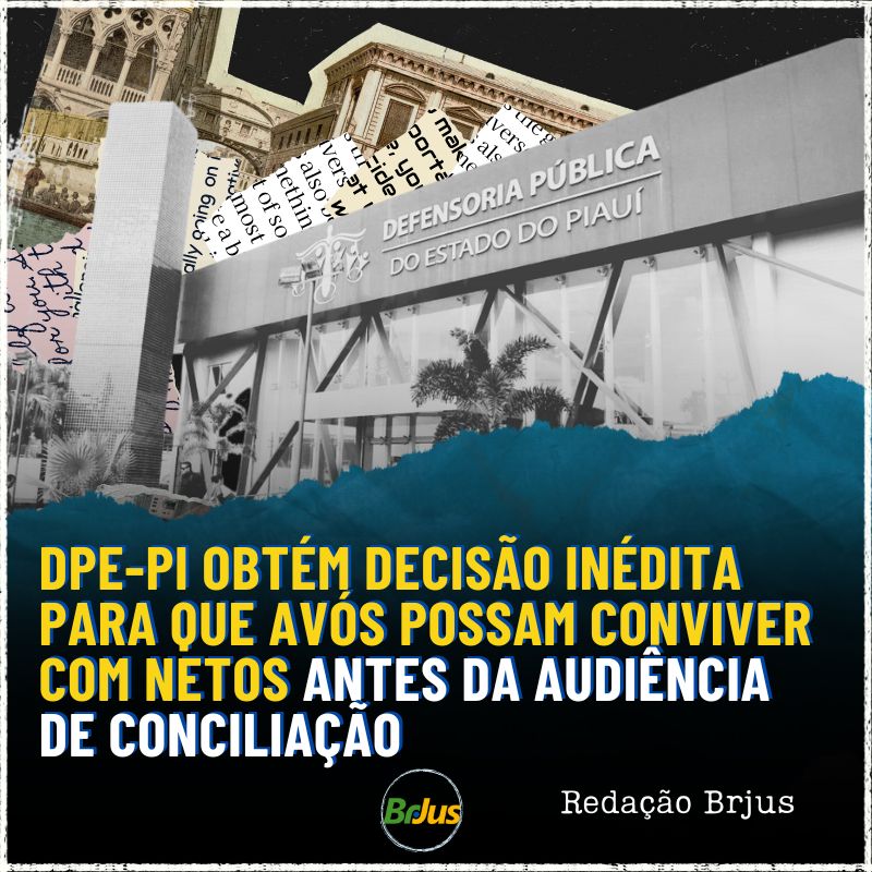 DPE-PI OBTÉM DECISÃO INÉDITA PARA QUE AVÓS POSSAM CONVIVER COM NETOS ANTES DA AUDIÊNCIA DE CONCILIAÇÃO