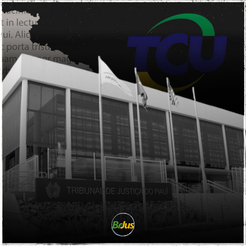 TJ-PI e TCU lançam consulta pública sobre segurança de pontes nas rodovias