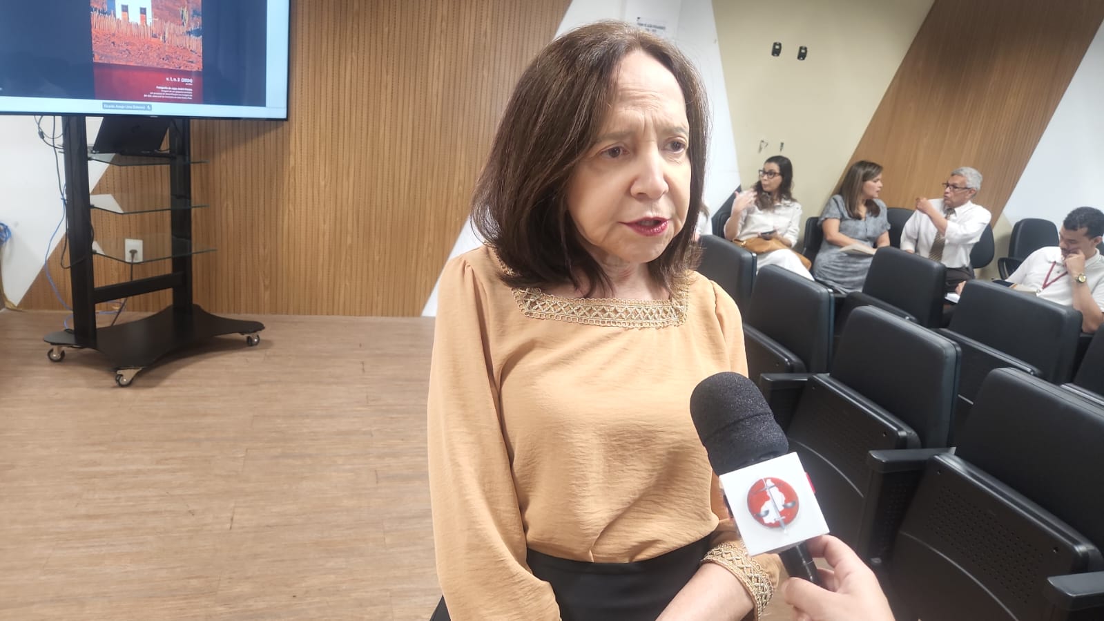 Teresinha Borges, procuradora de justiça, destaca relevância da 6ª edição da Revista Eletrônica do MPPI