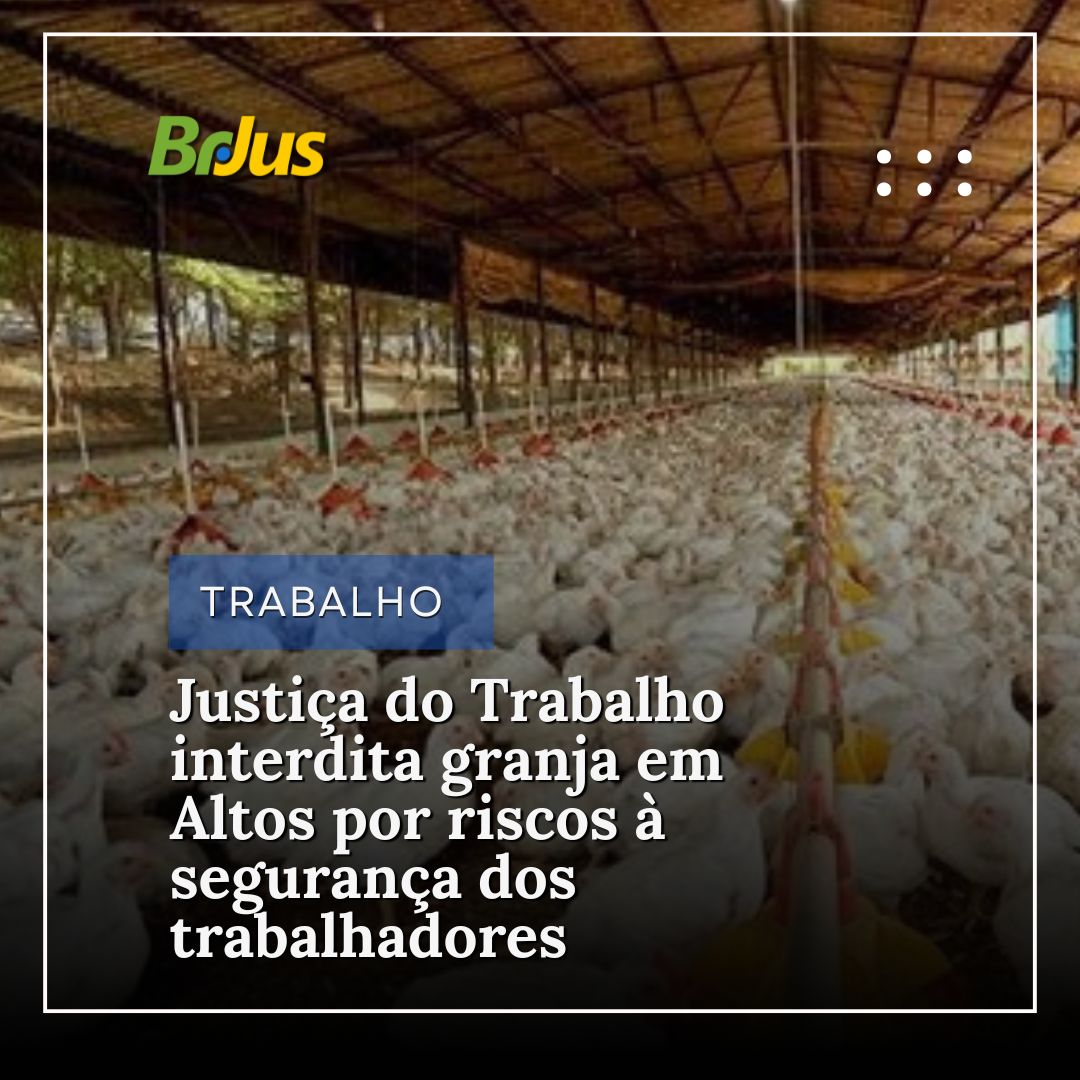 Justiça do Trabalho interdita granja em Altos por riscos à segurança dos trabalhadores