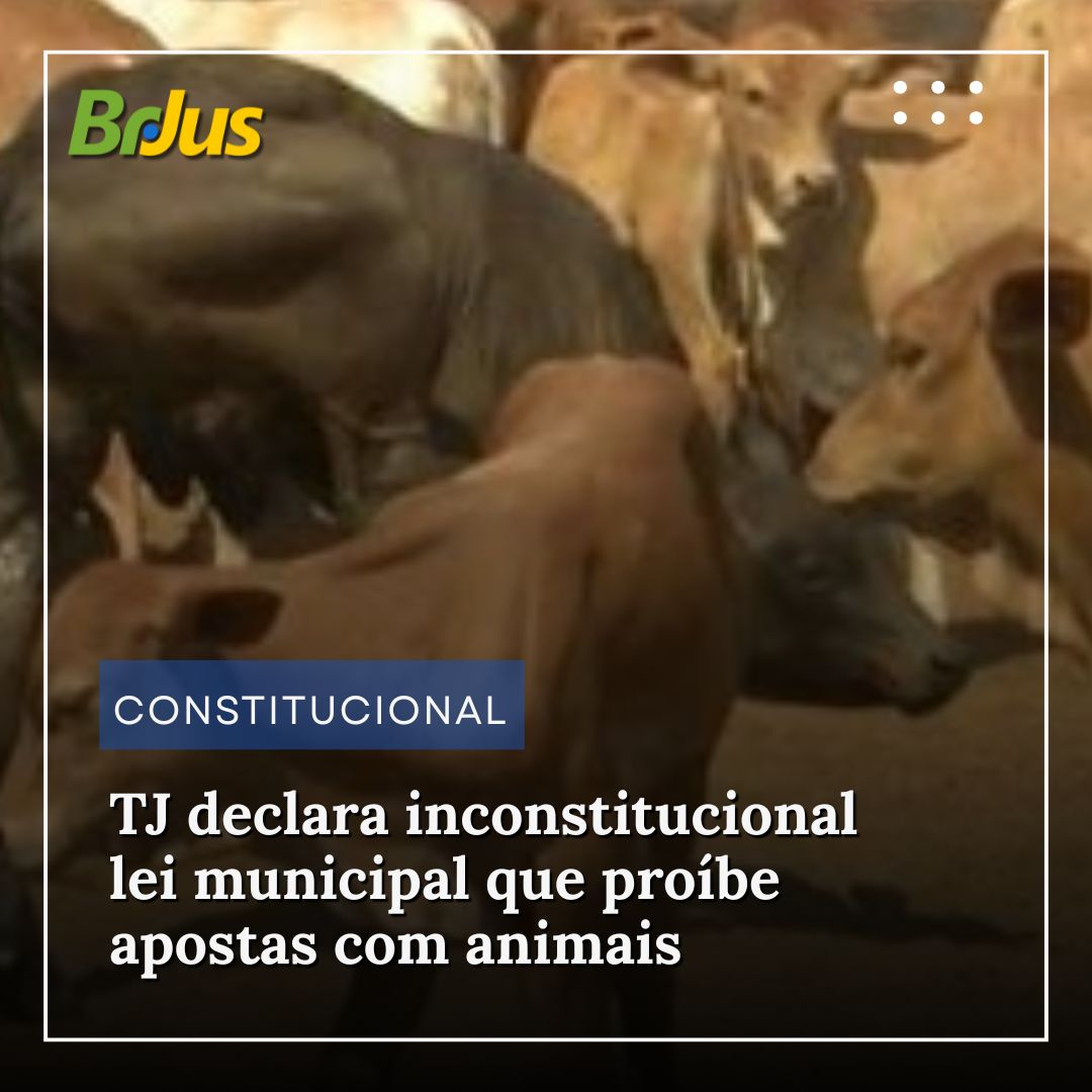 TJ declara inconstitucional lei municipal que proíbe apostas com animais
