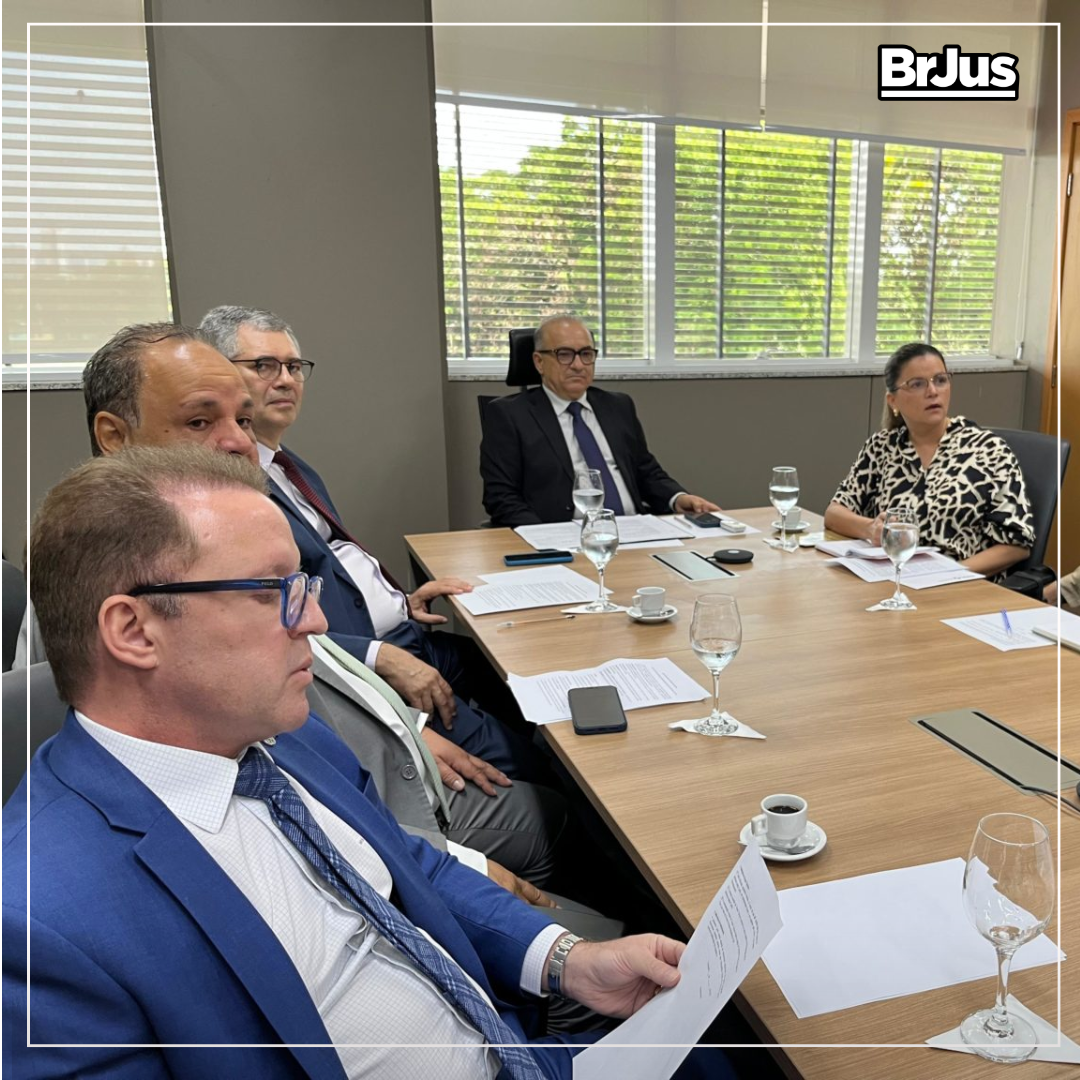 Coordenadora do Caoma representa o MPPI em reunião sobre a II Semana da Pauta Verde da Sustentabilidade