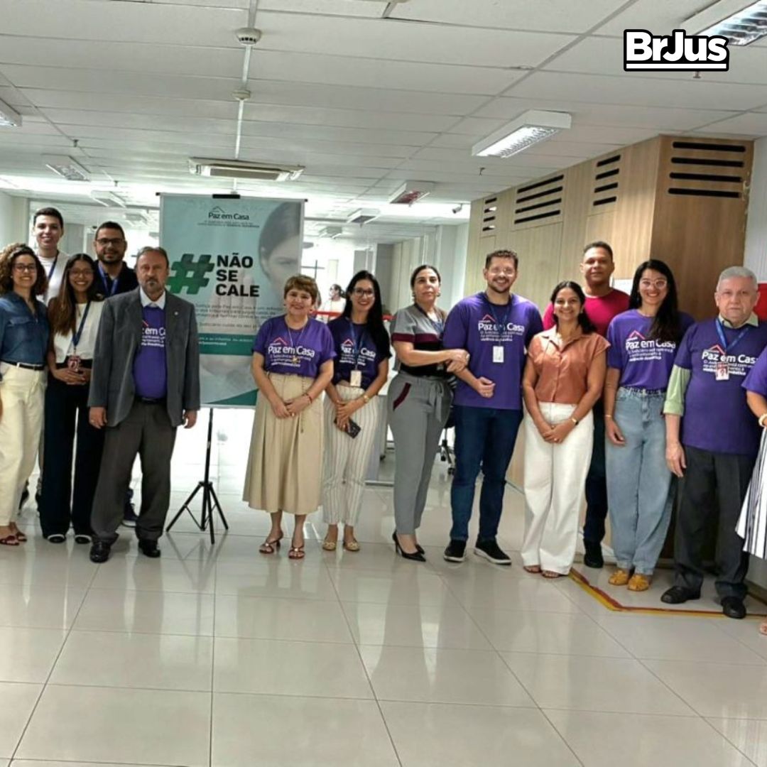 TJPI participa da Semana Justiça pela Paz em Casa com mais de 450 audiências designadas