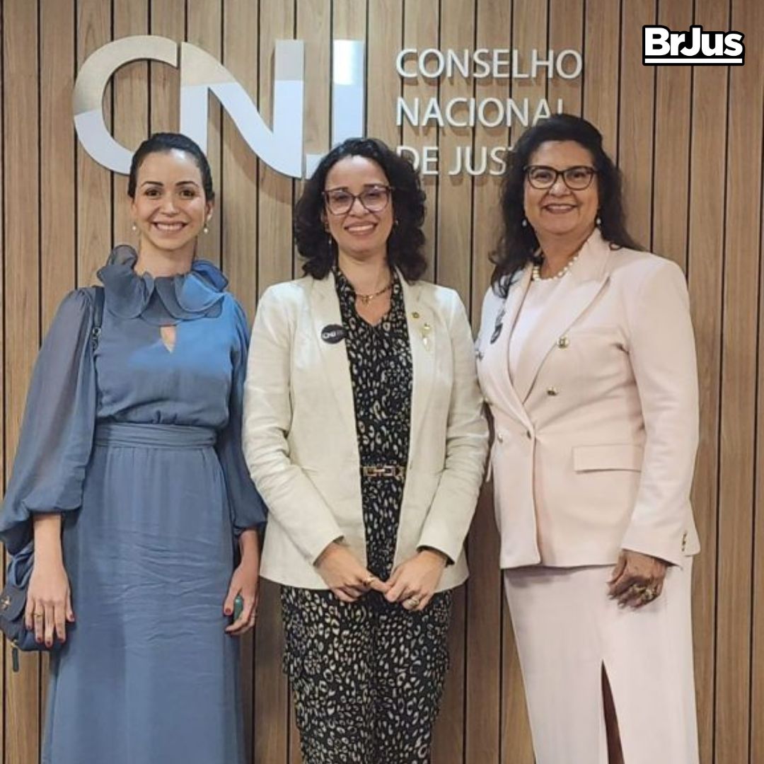 TJPI participa de evento promovido pelo CNJ sobre 8 anos da política de incentivo à participação feminina no Judiciário